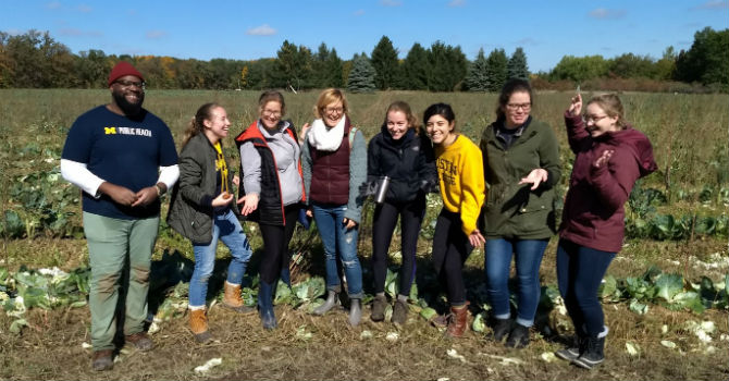 PHAST students harvesting cabbage